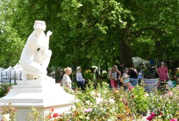 SORTIE AVEC LE FOYER DE L'AMITIÉ - LA FÊTE DE LA ROSE DE CHAALIS